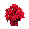 Nearly Natural 19”H Artificial Lush Poinsettia Arrangement With Wrapped Planter, 19”H x 17”W x 17”D, Red 1 thumbnail image
