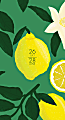 Willow Creek Press Checkbook 2-Year Monthly Academic Pocket Planner, 3-1/2" x 6-1/2", Lemon Fresh, July 2026 to June 2028, Total Quantity 1 1 thumbnail image