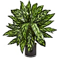 Nearly Natural Silver King 27”H Artificial Plant With Glass Vase, 27”H x 24”W x 24”D, Green/Black