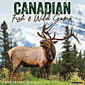 2024 Willow Creek Press Animals Monthly Wall Calendar, 12" x 12", Canadian Fish & Wild Game, January To December