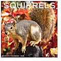 2026 Willow Creek Press Animals Monthly Wall Calendar, 12" x 12", Squirrels, January To December, 52891 1 thumbnail image
