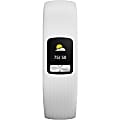 Garmin Vivofit 4 Smart Band - Wrist - Accelerometer - Calendar, Alarm, Clock Display, Stopwatch, Sleep Monitor - Calories Burned, Distance Traveled, Steps Taken - 0.4" - Bluetooth - White - Silicone Band