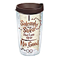Tervis Harry Potter Tumbler With Lid, I Solemnly Swear, 16 Oz, Clear