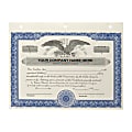 Custom Corporate Stock Certificates, 3-Hole Punched, Blue, Pack Of 20 Certificates