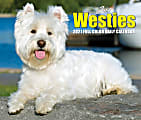 Willow Creek Press Page-A-Day Daily Desk Calendar, 4-1/4" x 5-1/4", FSC® Certified, Just Westies, January to December 2021, 14486 1 thumbnail image