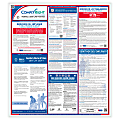 ComplyRight™ Federal Labor Law Poster, Spanish, 24" x 26 3/4" 1 thumbnail image