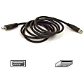 Belkin USB Extension Cable - Type A Male USB - Type A Female USB - 6ft