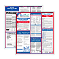 ComplyRight™ Federal And State Labor Law Poster Set, Spanish, Arizona