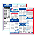 ComplyRight™ Federal And State Labor Law Poster Set, Spanish, California