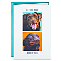 Hallmark Shoebox Funny Father's Day Card (You've Earned Your Own Day) 1 thumbnail image