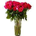 Rose Farmers Hot Pink Long Stem Roses, Hot Pink, Box Of 48 Roses
