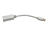 Tripp Lite 6in Mini DisplayPort To DisplayPort Adapter, White