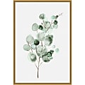 Amanti Art Tender Sprout II Eucalyptus by Eva Watts Framed Canvas Wall Art Print, 23”H x 16”W, Gold