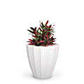 Mayne Sedona Planter, 18"H, White 1 thumbnail image