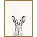 Amanti Art Animal Mug I Rabbit by Victoria Borges Framed Canvas Wall Art Print, 24”H x 18”W, Gold