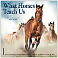 2026 Willow Creek Press Monthly Mini Wall Calendar, 7" x 7", What Horses Teach Us, January To December, 53843 1 thumbnail image