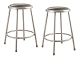 National Public Seating 6400 Series Vinyl-Padded Science Stools, 24"H, Gray, Pack Of 2 Stools