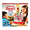 Learning Resources® Pumping Heart Model, 12"H x 11"W x 5"D, Grades 3 - 12 1 thumbnail image