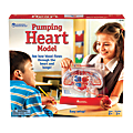 Learning Resources® Pumping Heart Model, 12"H x 11"W x 5"D, Grades 3 - 12