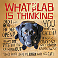 Willow Creek Press 5-1/2" x 5-1/2" Hardcover Gift Book, What Your Lab Is Thinking