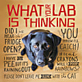 Willow Creek Press 5-1/2" x 5-1/2" Hardcover Gift Book, What Your Lab Is Thinking 1 thumbnail image