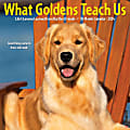 2024 Willow Creek Press Animals Monthly Wall Calendar, 12" x 12", What Goldens Teach Us, January To December