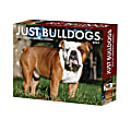 2025 Willow Creek Press Daily Desk Box Calendar, Animals, 5-1/2” x 6-1/4”, Bulldogs, January To December, 40706