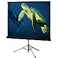 Draper Diplomat Tripod Projection Screen 1 thumbnail image