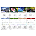 AT-A-GLANCE 2023 RY Seasons in Bloom Horizontal Vertical Erasable Yearly Wall Calendar, Large, 36" x 24"