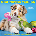 2024 Willow Creek Press Animals Monthly Wall Calendar, 12" x 12", What Puppies Teach Us, January To December
