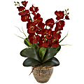 Nearly Natural Double Phalaenopsis Harvest Orchid Silk Floral Arrangement With Ceramic Vase, 25”H x 15-1/2”W x 12”D, Autumn 1 thumbnail image