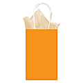 Amscan Kraft Paper Gift Bags, Small, Orange, Pack Of 24 Bags 1 thumbnail image