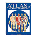 QuickStudy Atlas Of Human Anatomy