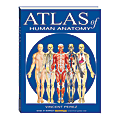 QuickStudy Atlas Of Human Anatomy 1 thumbnail image
