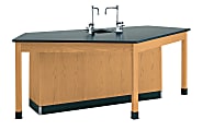 Diversified Woodcrafts Forward Vision I Workstation With Drop-In Sink, 36"H x 96"W x 50"D, Black/Northwoods Oak
