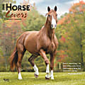2025 BrownTrout Horse Lovers Monthly Plastic-Free Square Wall Calendar, 12" x 12", Horses, January to December 2025, 9781975477141 1 thumbnail image
