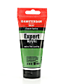 Amsterdam Expert Acrylic Paint Tubes, 75 mL, Chromium Oxide Green, Pack Of 2 1 thumbnail image