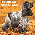 2025 Willow Creek Press Monthly Wall Calendar, 12" x 12", Cocker Spaniels, January 2025 to December 2025, 42496 1 thumbnail image
