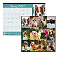 2027 Blueline® Colorful Monthly Desk Pad Calendar, 22” x 17”, Best Friends, January To December, C194116, Total Qty 1 1 thumbnail image