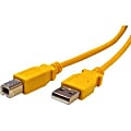 Bytecc USB 2.0 CABLE - A Male to Type B Male - 10 ft USB Data Transfer Cable for Printer - First End: 1 x Type A Male USB - Second End: 1 x Type B Male USB - Yellow