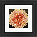 Timeless Frames Alexis Framed Floral Artwork, 8" x 8", Black Frame, Orange Dahlia