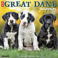 2024 Willow Creek Press Animals Monthly Wall Calendar, 12" x 12", Just Great Dane Puppies, January To December