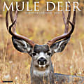 2026 Willow Creek Press Animals Monthly Wall Calendar, 12" x 12", Mule Deer, January To December, 52051 1 thumbnail image