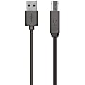 Belkin USB Data Transfer Cable - 9.84 ft USB Data Transfer Cable - First End: USB 2.0 Type A - Second End: USB Type B - Black