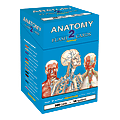 QuickStudy Flash Cards, 4" x 3-1/2", Human Anatomy 2, Pack Of 300 Cards
