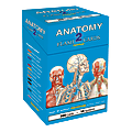QuickStudy Flash Cards, 4" x 3-1/2", Human Anatomy 2, Pack Of 300 Cards 1 thumbnail image