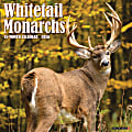 2026 Willow Creek Press Animals Monthly Wall Calendar, 12" x 12", Whitetail Monarchs (Deer), January To December, 53249 1 thumbnail image