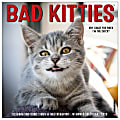 2026 Willow Creek Press Monthly Wall Calendar, 12" x 12", Bad Kitty, January To December, O50040 1 thumbnail image