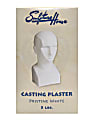 Sculpture House Pristine Casting Plaster, 5 Lb, White