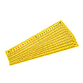 Learning Advantage Elapsed Time Ruler, Student Size, Set Of 10 1 thumbnail image